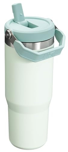 STANLEY IceFlow Flip Straw Tumbler with Handle 30 oz | Twist On Lid and Flip Up Straw | Leak Resistant Water Bottle | Insulated Stainless Steel |BPA-Free | Mist