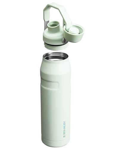 Stanley IceFlow Fast Flow Water Bottle 16 oz | Angled Spout Lid | Lightweight and Leakproof for Travel and Sports | Insulated Stainless Steel | BPA-Free |Tigerlily