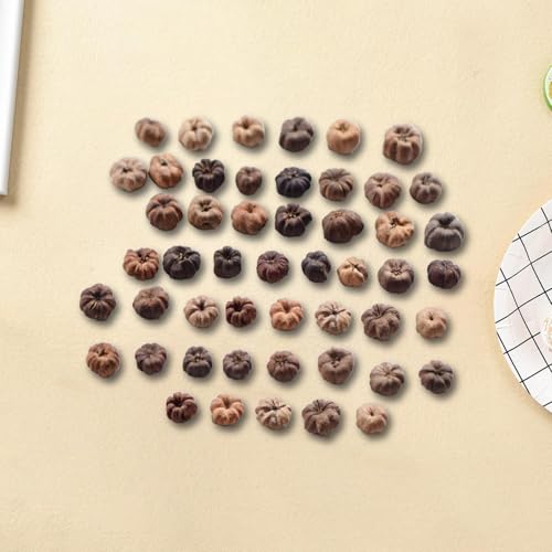Mini Dried Pumpkin Decor for Floral Wreaths and Crafts, 50 Pack
