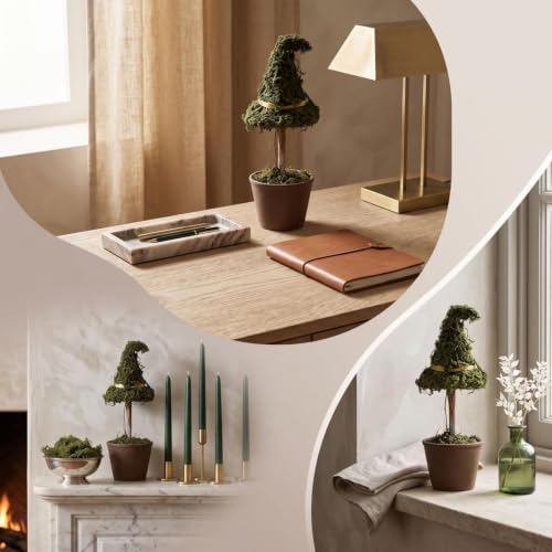 Halloween Witch Hat Moss Topiary Tree with Pot - Indoor Seasonal Decor