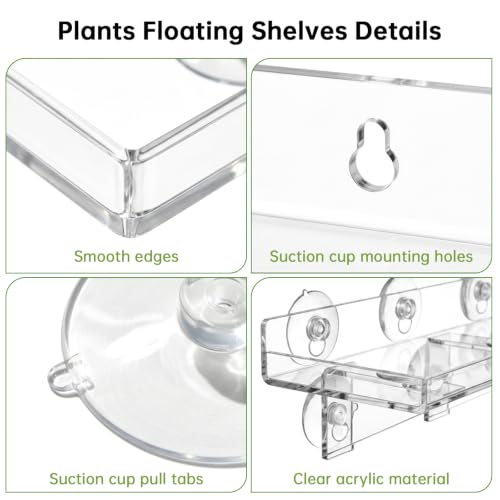 3 Pack Acrylic Window Plant Shelves with Suction Cups - Heavy Duty Indoor Garden Racks