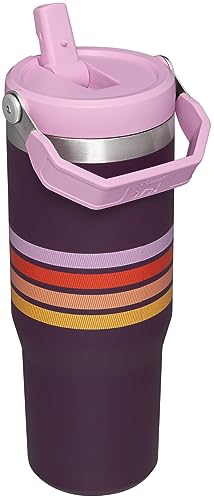 STANLEY IceFlow Stainless Steel Tumbler - Vacuum Insulated Water Bottle for Home, and Car Reusable Cup with Straw Leak Resistant Flip Cold for 12 Hours or Iced for 2 Days, Plum Stripe, 30 OZ / 0.89 L