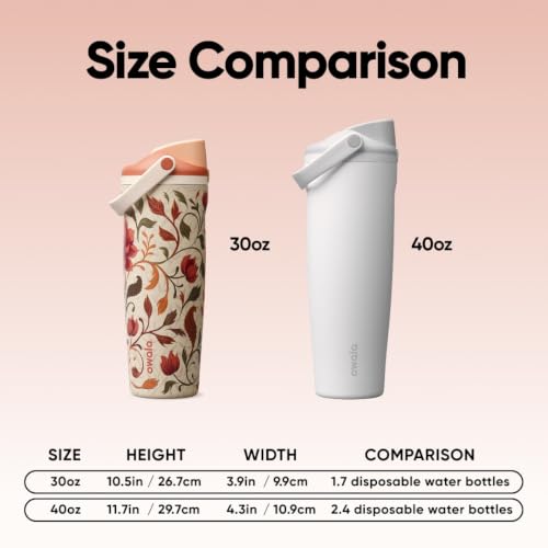 30 oz Stainless Steel Water Bottle with 2-in-1 Spout and Leak-Proof Lid