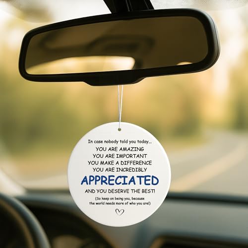 You Are Appreciated Nurse Teacher Retirement Ornament - Holiday Gift for Coworkers