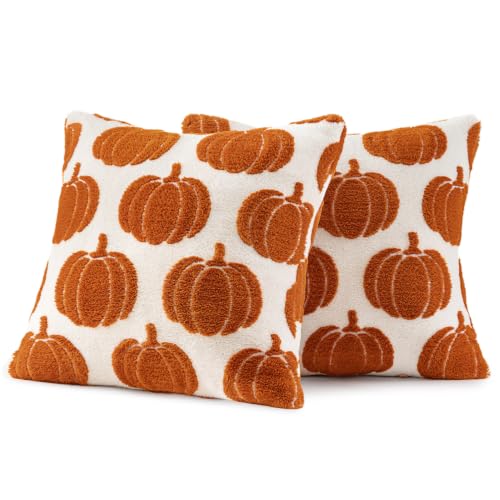 Fall Pumpkin Pillow Covers Set of 2 - 18x18 Rust Harvest Decor