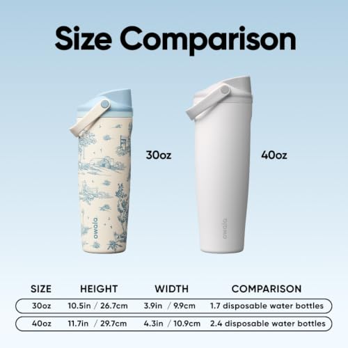 Insulated Stainless Steel Water Bottle with 2-in-1 Spout - 30 oz