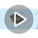 Black and Gold Acrylic Vase Fillers - 1000 Loose Decorative Diamonds