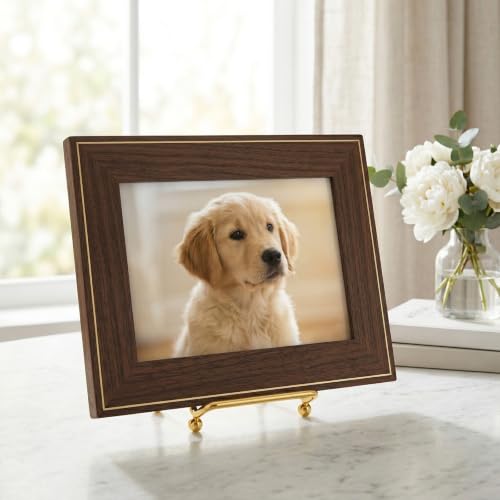 Mini Gold Plate Easel Stands Set of 4 - Small Display Frames for Photos, Art, Plates