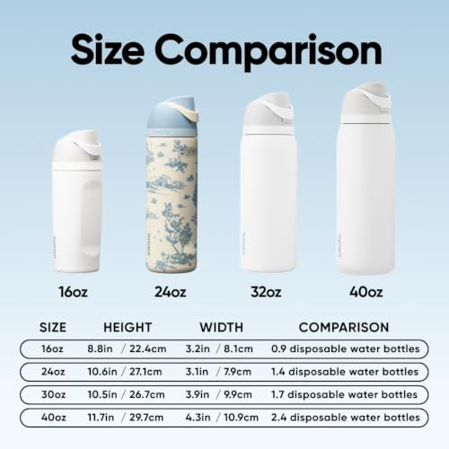 Insulated Stainless Steel Water Bottle 24 oz with Locking Push-Button Lid - Toile Be Home