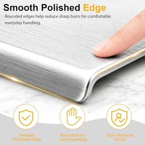 304 Stainless Steel Cutting Board with Lip - 15.7"L x 11.8"W