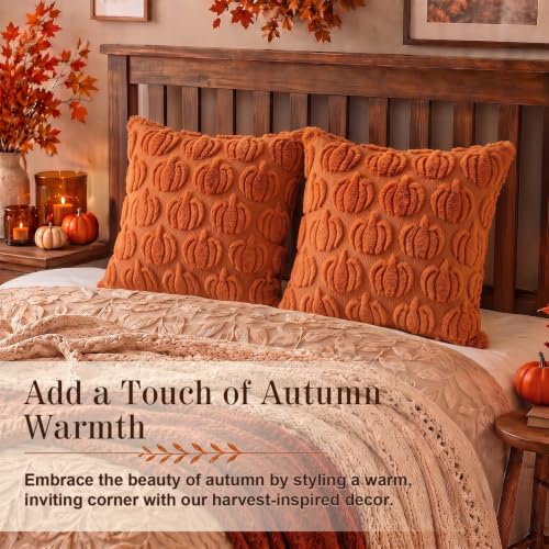 Caramel Fall Pillow Covers 18x18 Set of 2 Pumpkin Plush Decor