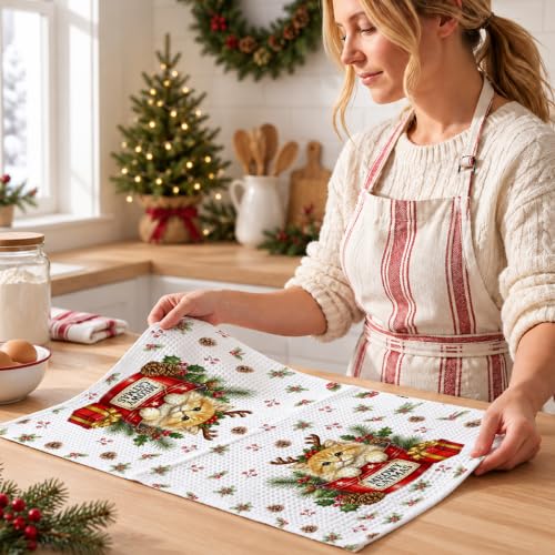 4 Pcs Reusable Cat Christmas Kitchen Towels - Cute Holiday Hand Towels, Multi 1834