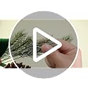 Christmas Teardrop Swag Decorations Set with Pinecones and Berries - 2 Pieces