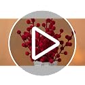 60 Pcs Burgundy Christmas Holly Berry Stems - 8 Inch / Holiday Decor