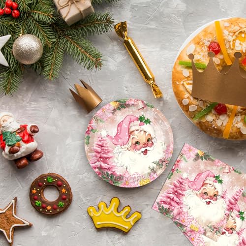 Christmas Party Set 20 Pcs Pink Holiday Plates & Napkins - Merry Christmas Theme, Winter Decor, Disposable Tableware - Variation: Christmas Party Set-1