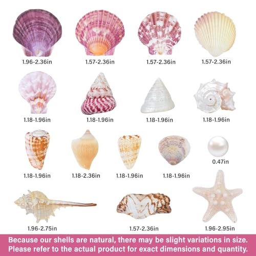 Natural Seashells Set with Starfish and Pearls for Crafts & Decor - 40 Pieces