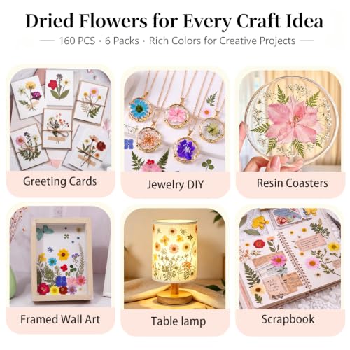 160 Pcs Natural Dried Flowers for Resin Crafts Jewelry Candle Making