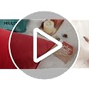 MIULEE Christmas Red Velvet Euro Sham Pillow Covers 26x26 Inches Pack of 2