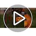 Halloween Solar Black Cat & Pumpkin Garden Stake Light, Outdoor Yard Decor