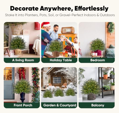 Artificial Norfolk Pine Topiary Trees with Lights - Green Norfolk, Set of 2