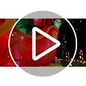 12 Ft Christmas Inflatable Reindeer with Santa Sleigh & LED Lights for Outdoor Yard Decor