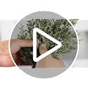 Snowy Artificial Christmas Pine Branches - 10 Pcs Faux Xmas Decor Sprigs, Style of Snowy