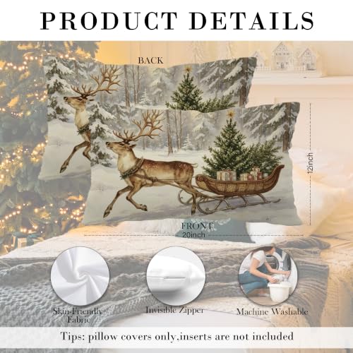 Reindeer Sleigh Christmas Throw Pillow Cover 20x12 Inches - Holiday Decor - Pack of 1