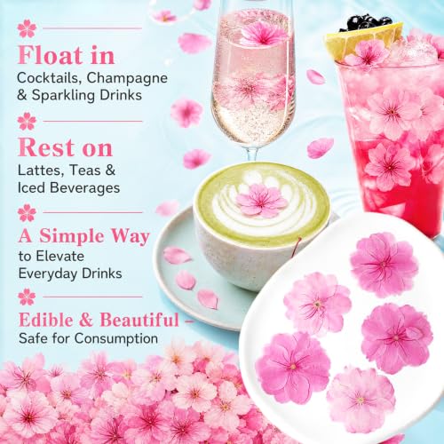 Edible Dried Flower Garnishes for Cakes Drinks & Crafts - 60 Pcs