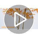 Artificial Maple Tree 7FT Fall Tree with Pot - Orange Autumn Decoration