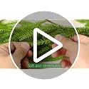 2 Pack 6 Ft Artificial Norfolk Pine Garland - Realistic Christmas Greenery, Holiday Decor, Style A