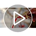 Willbond Gold Reindeer Napkin Rings - Set of 6 Christmas Table Decor