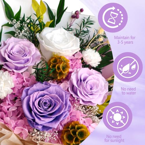 Preserved Flowers Bouquet - Gypsophila Purple for Gifts & Decor