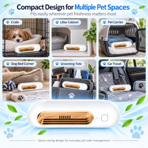 Ozofreshen Pet Odor Eliminator Smart Purifier - Silver, 1 Pack