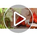 2 Sets 3D Cardboard Campfire Decorations - Red Orange, 12 x 10 Inch, Reusable Party Backdrop