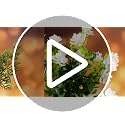 Artificial Christmas Geranium Flowers Bouquet for Outdoor & Indoor Decor - 20 Pcs