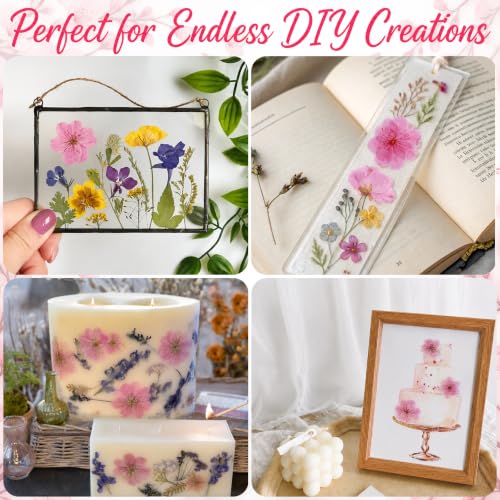 Pressed Edible Cherry Blossom Flowers for Cakes & Cocktails - 54 PCS