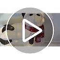 Outdoor Christmas Lighted Cow Decoration - 32 Inch 3D LED Festive Yard Display - Variation of THIS listing