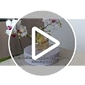 Ring Holder with Preserved Tulip Flower in Resin - Elegant Jewelry Display