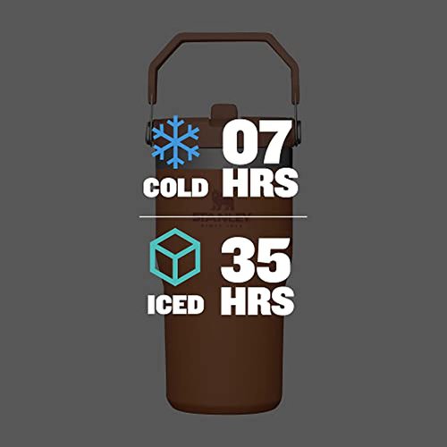 Stanley IceFlow Stainless Steel Tumbler - Vacuum Insulated Water Bottle for Home, Office or Car Reusable Cup with Straw Leak Resistant Flip Cold for 12 Hours or Iced for 2 Days, Ochre, 20 OZ / 0.59 L
