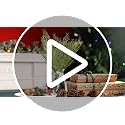 Artificial Pine Branches 40PCS - 13.7 Inch Greenery for Christmas Wreath & Decor - Variation of 40pcs