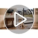 Dog Leash Wall Mount Organizer with Shelf and Hooks - 2 Pack