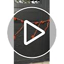 Fall Pumpkin Garland with Hanging Maple Leaves - 6.6 FT Decorative Autumn Decor