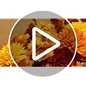 Artificial Fall Mums Flowers Set - 16 Pcs Indoor Outdoor Decor - A-16pcs
