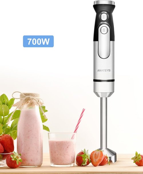 Handblender - Heavy-Duty Immersion Blender with Detachable Stainless Blade | 2-Speed Modes & Space-Saving Design