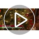 7.5 Ft Slim Prelit Christmas Tree with 400 Warm White LEDs - Green