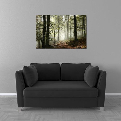 Forest Spring Large Artwork Natural Picture Canvas Wall Art Bedroom Hallway Modern Landscape Trees Foggy Morning Print Framed Painting Living Room Home Office Wall Décor 24x36inch