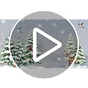 Winter Forest Animals Window Clings - Snowy Pine Trees & Birds Decor