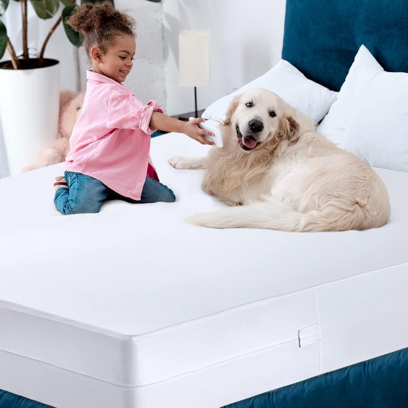 Utopia Bedding Waterproof Mattress Protector Short Queen Size (Pack of 10), Zippered Mattress Encasement Bed Bug and Dust Mite Proof, Absorbent Six-Sided Mattress Cover