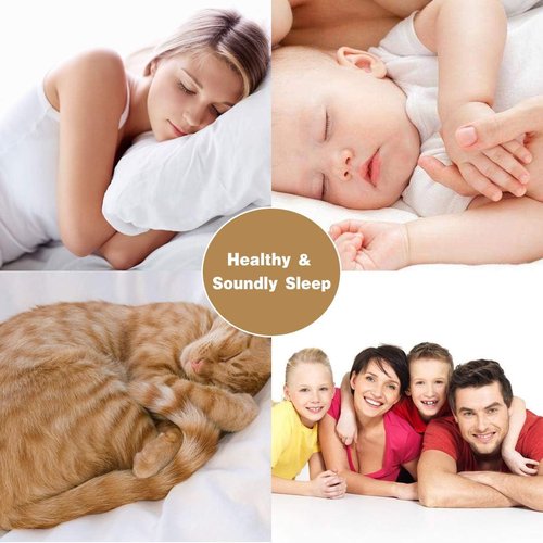 Elegant Decor 4 Piece Queen Bed Sheet Set - Luxury 300 GSM Microfiber | Deep Pockets & Wrinkle Resistant (White)