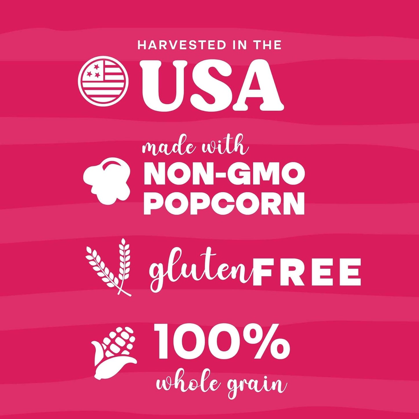 Pop n' Dulge Gourmet Popcorn Gift Set - 16 Pcs with 5 Flavors & Seasonings | Perfect Movie Night Snacks